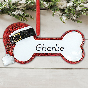 Personalized Pet Ornaments For Christmas | GiftsForYouNow