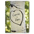 Sitting In A Tree Photo Canvas Wall Art