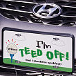 Teed Off Golfing License Plate 417103