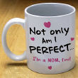 Not Only am I Perfect Mug