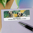 Dalmations Personalized Photo Address Labels