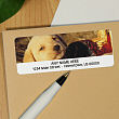 Labrador Puppy Personalized Photo Address Labels 116810