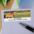 Horse Personalized Photo Address Labels 116830