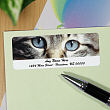 Cat Eyes Personalized Photo Address Labels 116840