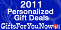 New Year 2011 120x60 Blue