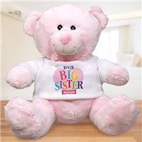 big sister teddy bear mothercare