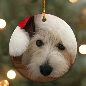 Personalized Dog Christmas Ornaments | GiftsForYouNow