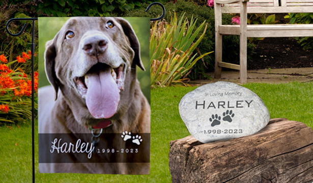 Our Favorite Human - Dog Personalized Custom Mug - Gift For Pet Owners -  Pawfect House