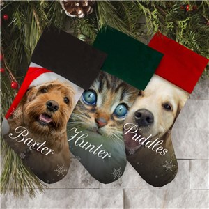 Personalized dog christmas stockings best sale