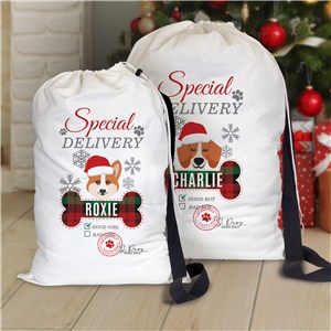 Personalized Dog Breed Special Delivery Gift Sack U21588178X