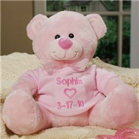 Personalized New Baby Girl Teddy Bear | Embroidered Pink Teddy Bear ...